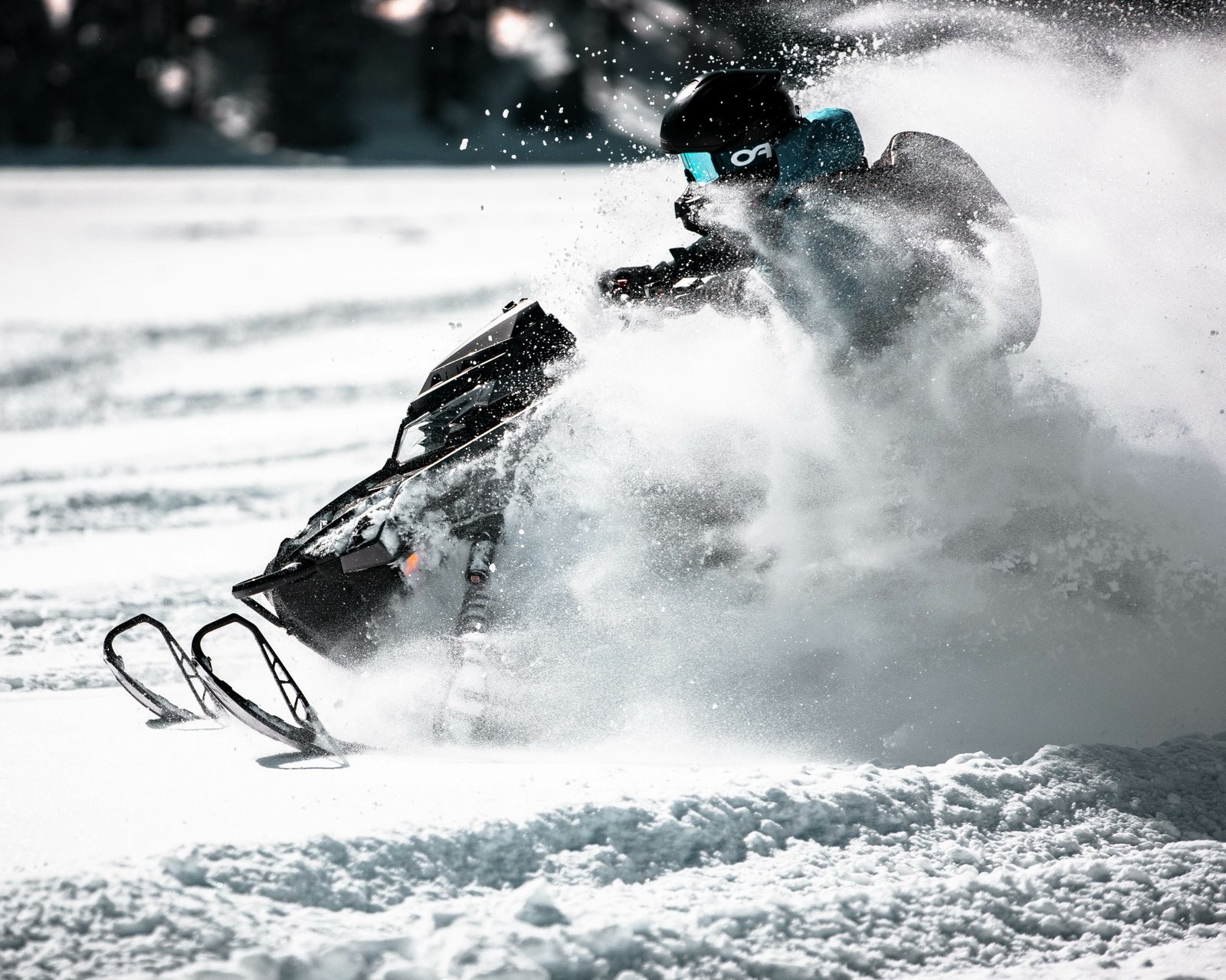 Snowmobile winter tune-up service